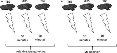How to Design Optimal Accelerated rTMS Protocols Capable of Promoting Therapeutically Beneficial <mark class="highlighted">Metaplasticity</mark>